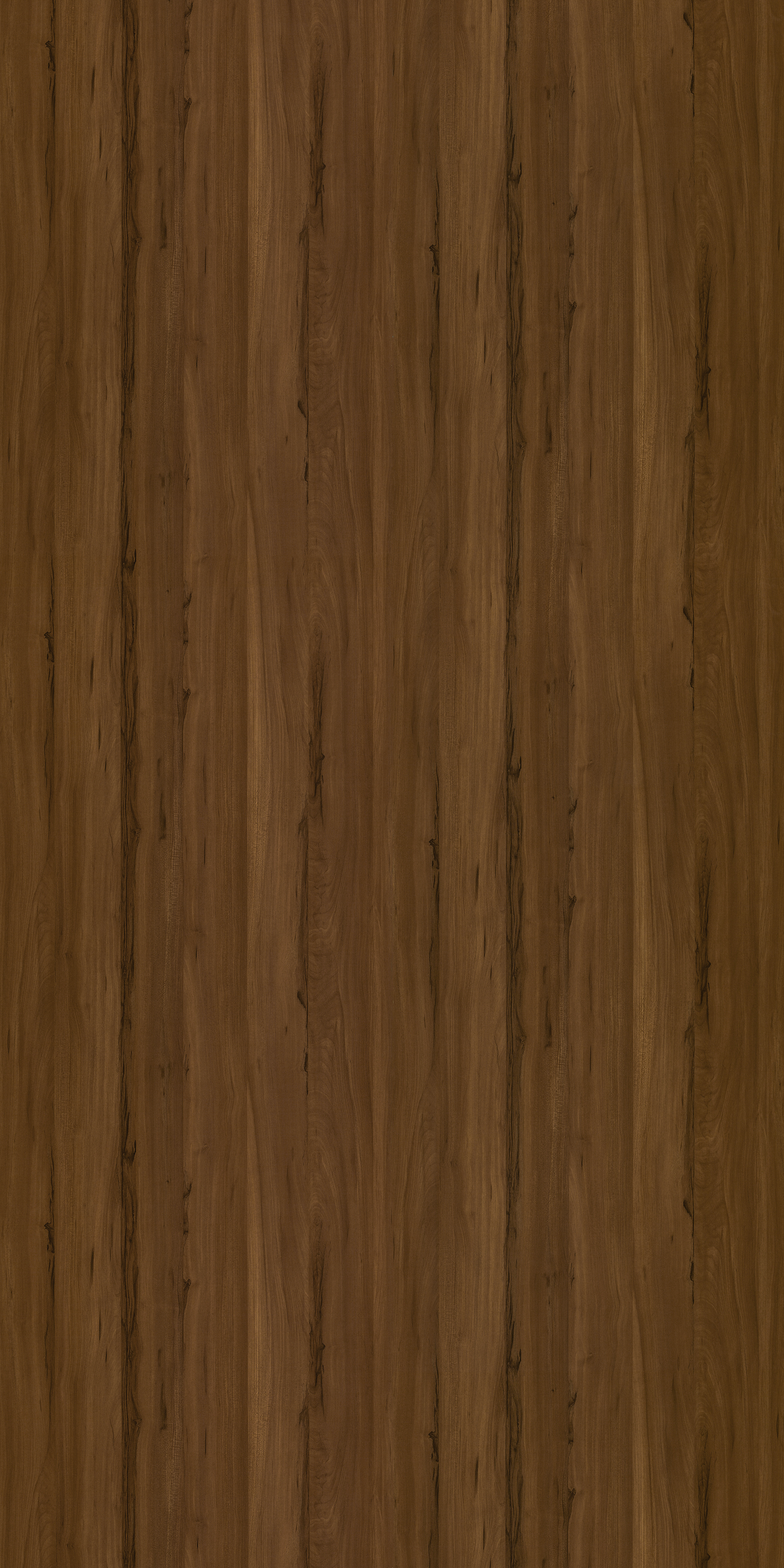 9221 OAK WOOD